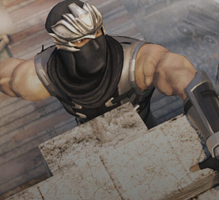 Shadow Ninja Assasin