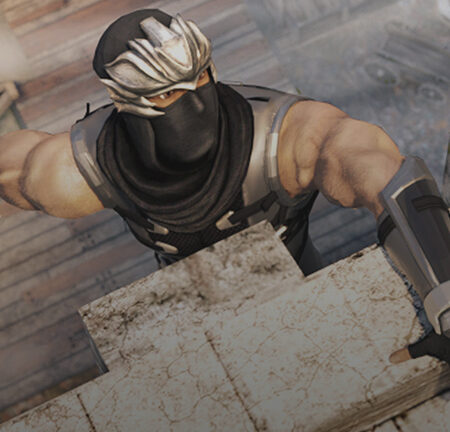 Shadow Ninja Assasin